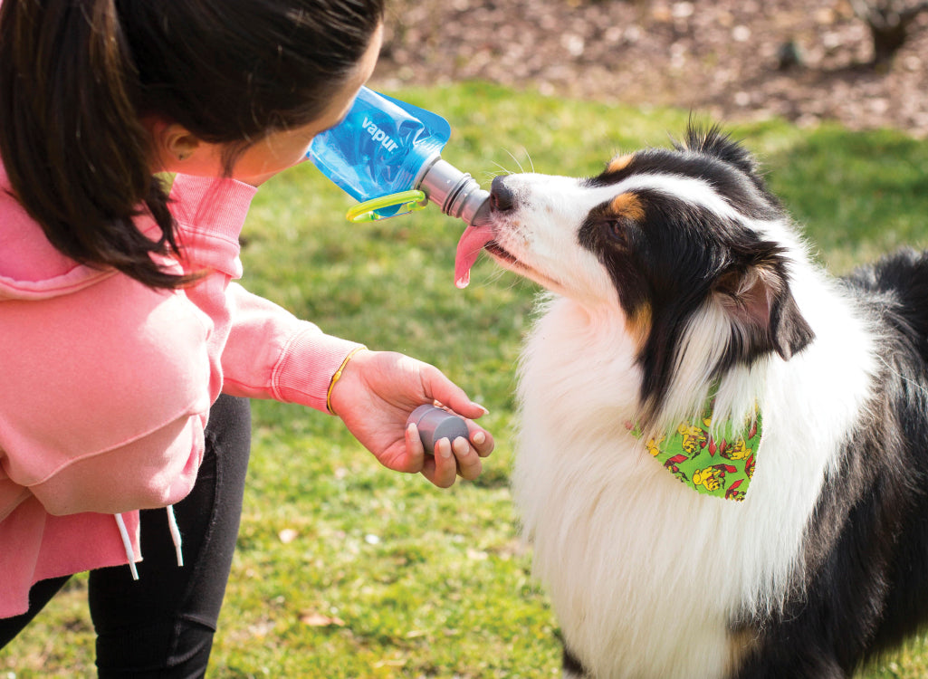 Vapur 700ml EZ Lick Foldable Dog Water Bottle