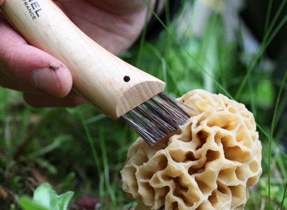 Opinel N°08 Mushroom Knife