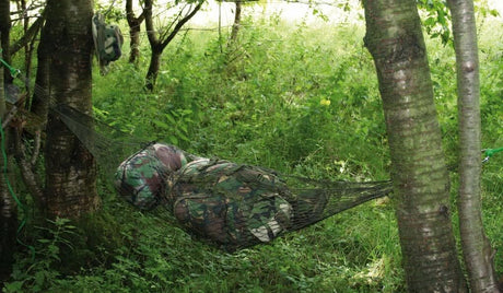 Hammocks