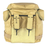 Polish Military MP5 Gas Mask With Filter & Bag - Desert